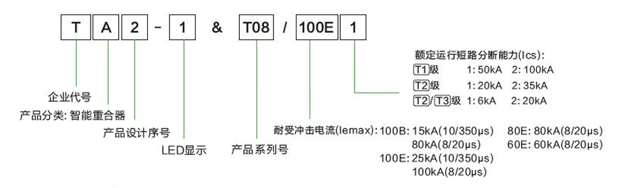 TA&T08型号含义.jpg